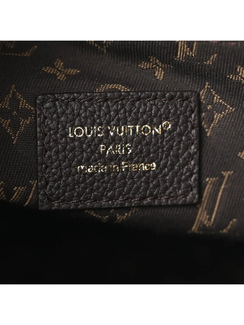 Louis Vuitton Calfskin Express Mm #334335L38B